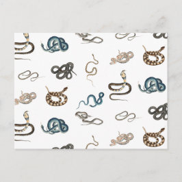 Cartes Pour Fêtes Annuelles Motif animal reptile de serpents colorés