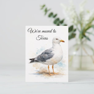 Cartes Pour Fêtes Annuelles Mouette Oiseau Océan Plage Aquarelle Nautique