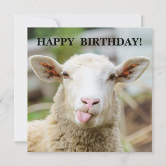 Cartes Pour Fêtes Annuelles Mouton montre langue