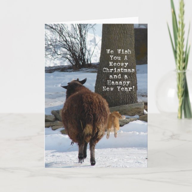 Cartes Pour Fêtes Annuelles Mouton noir et chat, Noël (Devant)