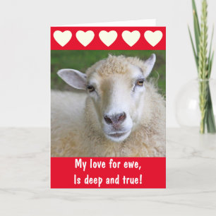 Cartes Pour Fêtes Annuelles Mouton romantique Vraie Amour Saint Valentin