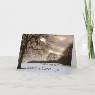 Cartes Pour Fêtes Annuelles Moutons