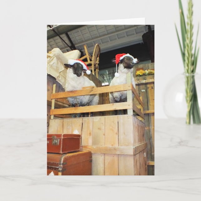 Cartes Pour Fêtes Annuelles moutons de Noël (Devant)