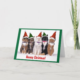 Cartes Pour Fêtes Annuelles "Mowy Christmas !" Chat