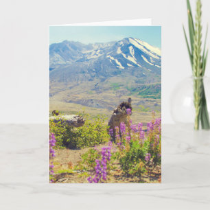 Cartes Pour Fêtes Annuelles Mt. St. Helens