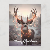 Mule Deer et les lumières de Noël