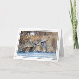 Cartes Pour Fêtes Annuelles Mule Deer se repose dans l'herbe neigeuse