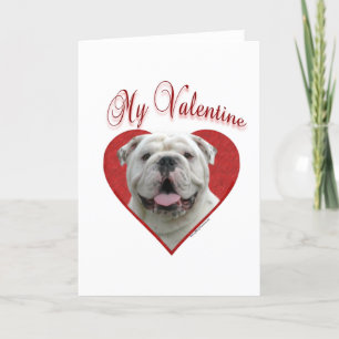 Cartes Pour Fêtes Annuelles My Bulldog Valentine