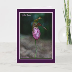 Cartes Pour Fêtes Annuelles My Favorite Lady : Saint Valentin
