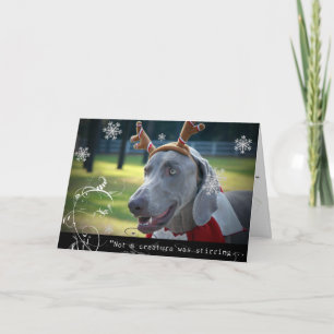 Cartes Pour Fêtes Annuelles Nation de Weimaraner : "Pas une créature remuait.