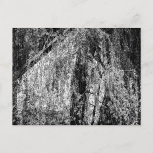 Cartes Pour Fêtes Annuelles nature morte à la maison