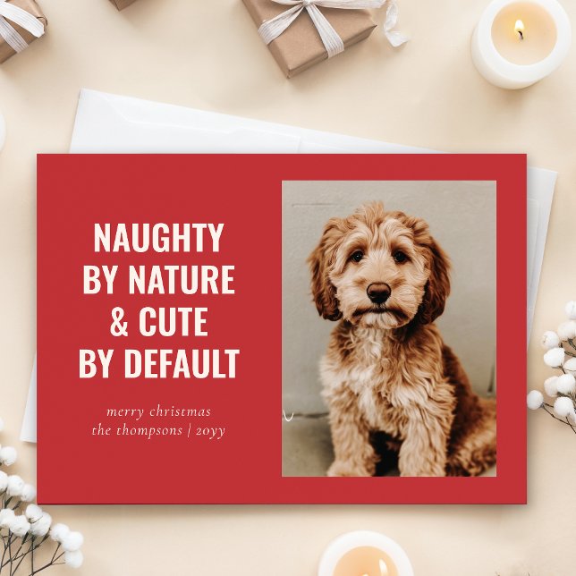 Cartes Pour Fêtes Annuelles Naughty and mignon Funny Chien Photo de Noël (Créateur téléchargé)