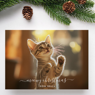 Cartes Pour Fêtes Annuelles Naughty Meowy Noël Funny Cat Overlay Photo