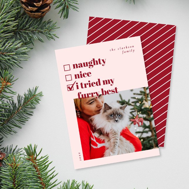 Cartes Pour Fêtes Annuelles Naughty, Nice, J'ai essayé ma fureur (Créateur téléchargé)