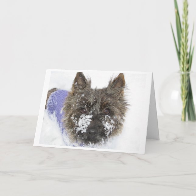 Cartes Pour Fêtes Annuelles Neige ! (Devant)