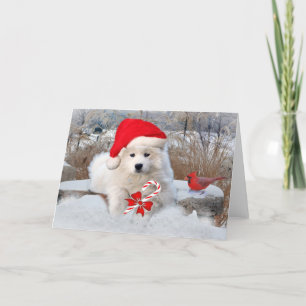 Cartes Pour Fêtes Annuelles Neige américaines d'hiver de Père Noël d'Esquimau
