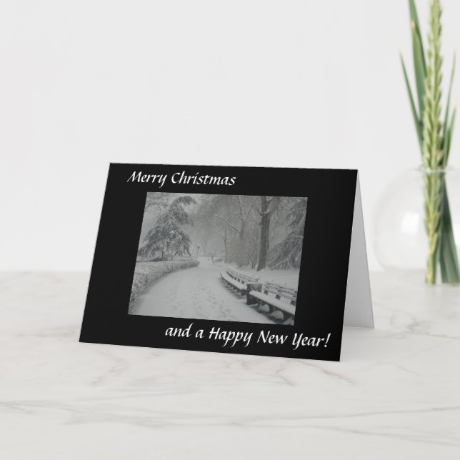 Cartes Pour Fêtes Annuelles Neige dans le Central Park (Devant)