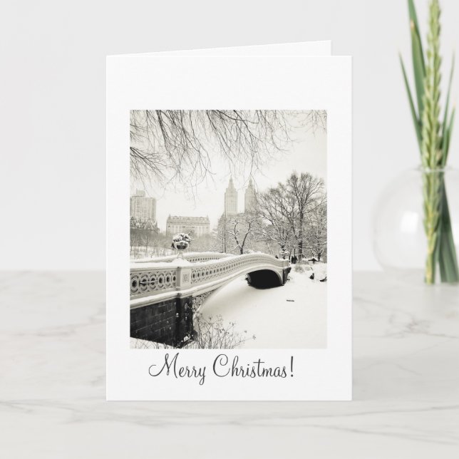 Cartes Pour Fêtes Annuelles Neige de Central Park - Noël (Devant)