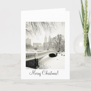 Cartes Pour Fêtes Annuelles Neige de Central Park - Noël