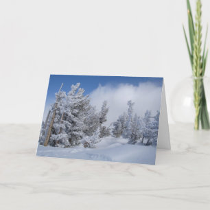 Cartes Pour Fêtes Annuelles Neige fraîche sur Mammoth Mountain