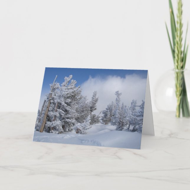 Cartes Pour Fêtes Annuelles Neige fraîche sur Mammoth Mountain (Devant)