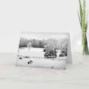 Cartes Pour Fêtes Annuelles Neige fraîche tombée au ranch du cheval