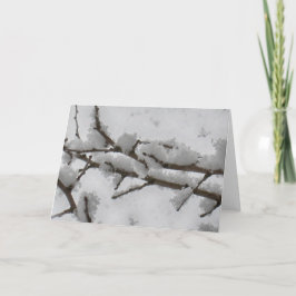 Cartes Pour Fêtes Annuelles Neige sur branche d'arbre