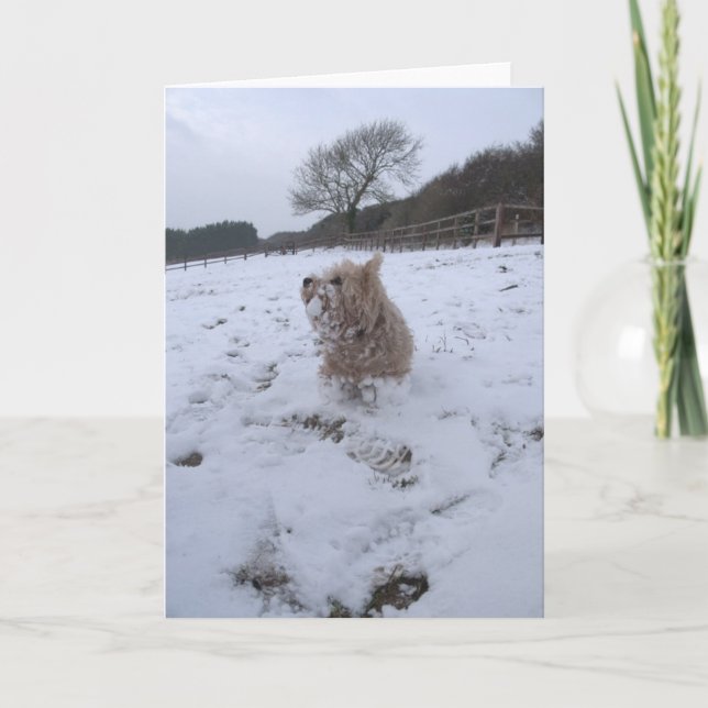 Cartes Pour Fêtes Annuelles Neige Westie (Devant)