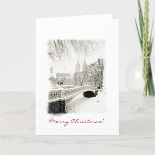 Cartes Pour Fêtes Annuelles New York City Winter