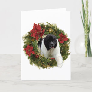 Cartes Pour Fêtes Annuelles Newf Landseer