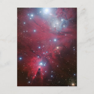 Cartes Pour Fêtes Annuelles NGC 2264 et le groupe Arbre de Noël