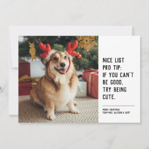 Cartes Pour Fêtes Annuelles Nice liste drôle animal noir blanc