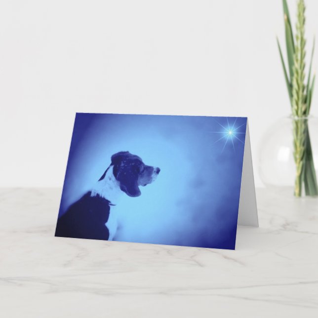 Cartes Pour Fêtes Annuelles Noël 2005 (Devant)