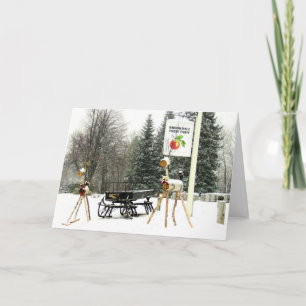 Cartes Pour Fêtes Annuelles Noël à Brookdale Fruit Farm à Hollis, NH