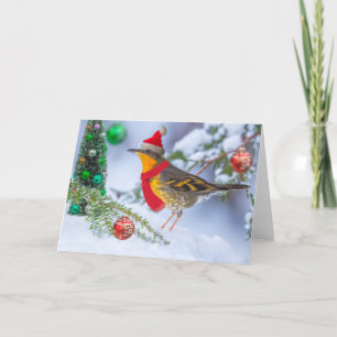 Cartes Pour Fêtes Annuelles Noël à la brosse variée