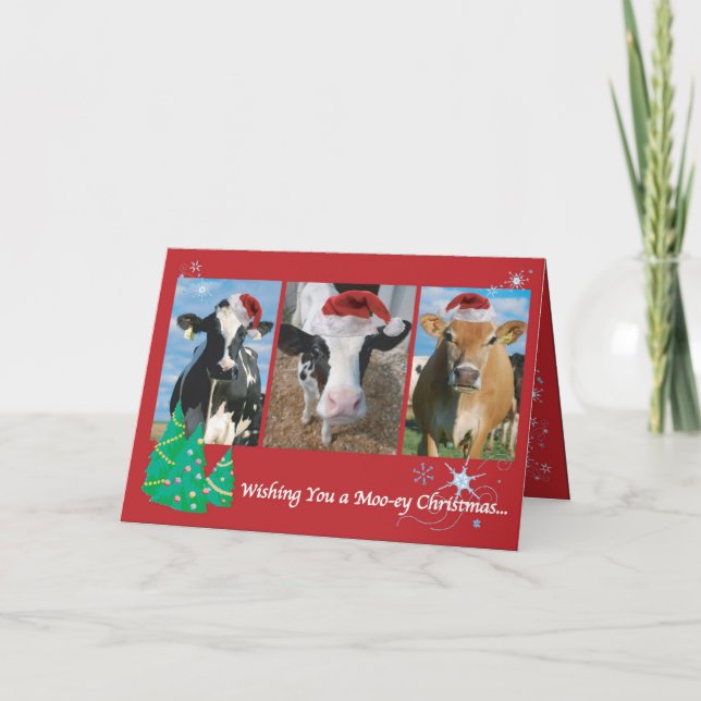 Cartes Pour Fêtes Annuelles Noël à la vache (Devant)