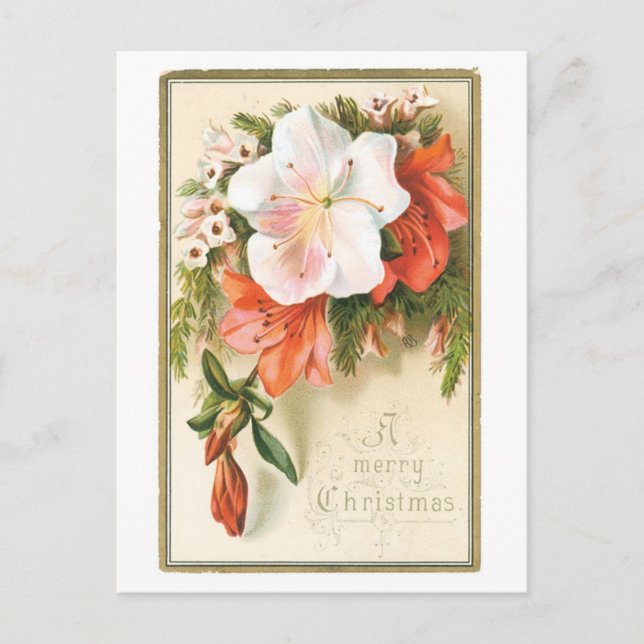 Cartes Pour Fêtes Annuelles Noël à l'ancienne, Fleur (Devant)