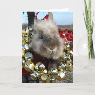 Cartes Pour Fêtes Annuelles Noël à Lionhead Bunny