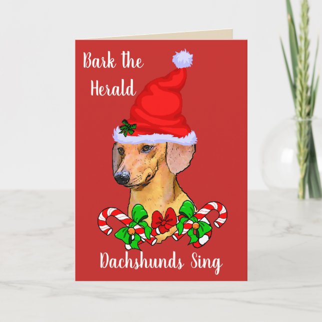 Cartes Pour Fêtes Annuelles Noël à Père Noël Dachshund (Devant)