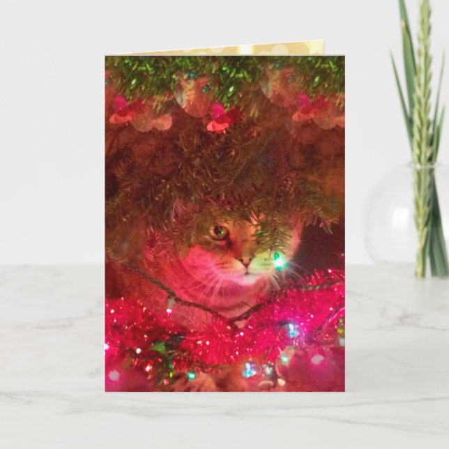 Cartes Pour Fêtes Annuelles Noël à Rupie Sparkly (Devant)