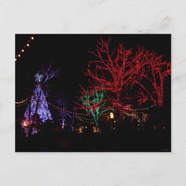 Cartes Pour Fêtes Annuelles Noël à Silver Dollar City (Devant)