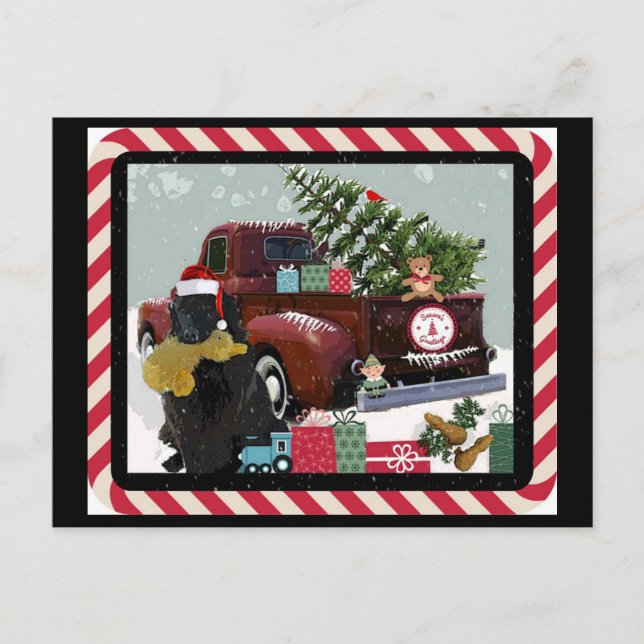 Cartes Pour Fêtes Annuelles Noël à Terre-Neuve (Devant)