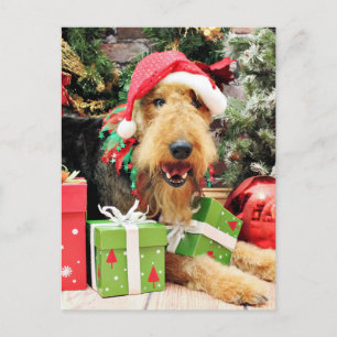 Cartes Pour Fêtes Annuelles Noël - Airedale - Kiehn