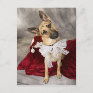 Cartes Pour Fêtes Annuelles Noël alsacien