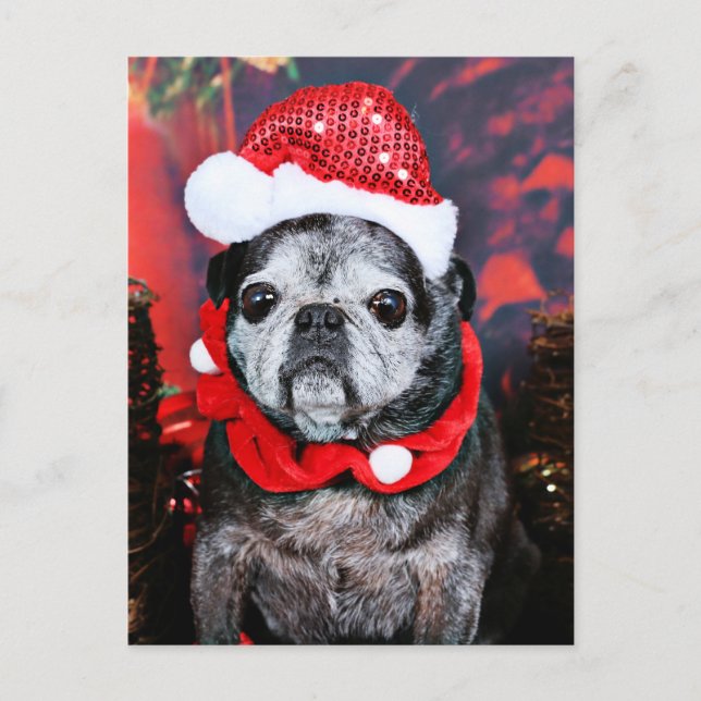 Cartes Pour Fêtes Annuelles Noël - Ange - Carlin (Devant)