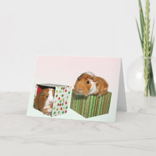 Cartes Pour Fêtes Annuelles Noël au porc de Guinée
