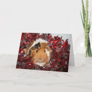 Cartes Pour Fêtes Annuelles Noël au porc de Guinée