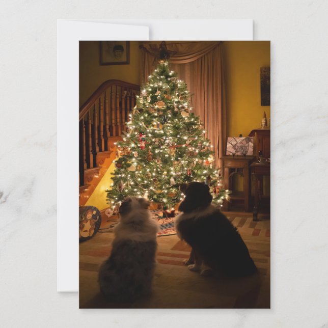 Cartes Pour Fêtes Annuelles Noël australien (Devant)