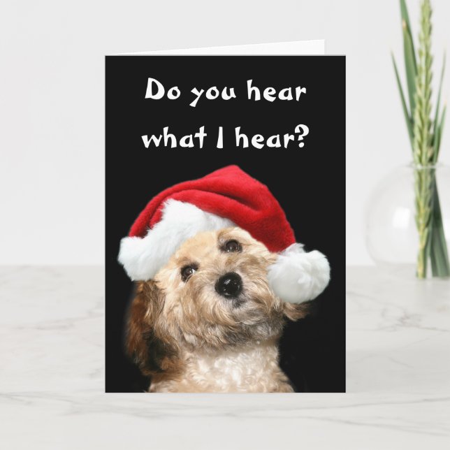 Cartes Pour Fêtes Annuelles Noël aux canicules (Devant)