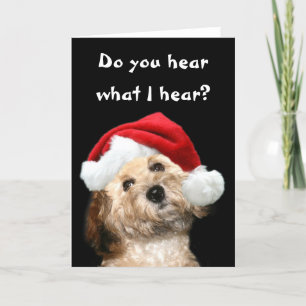 Cartes Pour Fêtes Annuelles Noël aux canicules